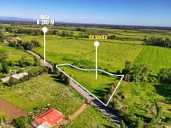 Parcela barata en San Carlos, 5000 m² — imagen 7 de 13