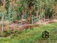 Parcela en venta en San Carlos, 5000 m² — imagen 11 de 16