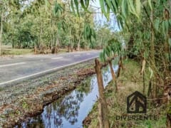 Parcela en venta en San Carlos, 5000 m² — imagen 12 de 16