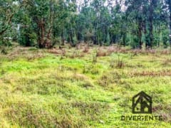 Parcela en venta en San Carlos, 5000 m² — imagen 13 de 16