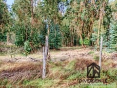 Parcela en venta en San Carlos, 5000 m² — imagen 14 de 16