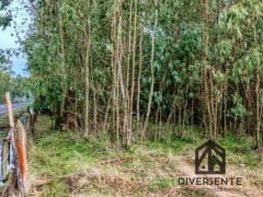 Parcela en venta en San Carlos, 5000 m² — imagen 15 de 16