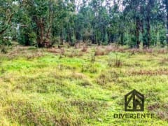 Parcela en venta en San Carlos, 5000 m² — imagen 16 de 16