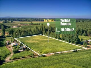 Terreno 10000 m2 en Yerbas Buenas — vista principal