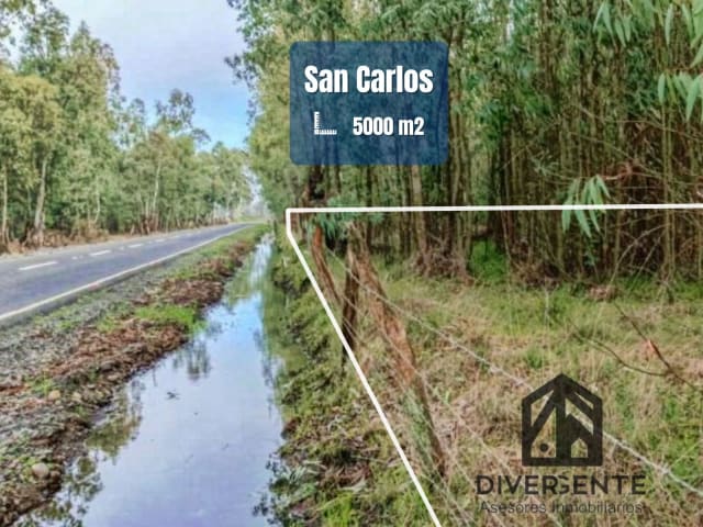 Parcela en venta en San Carlos, orilla de asfalto. — vista principal