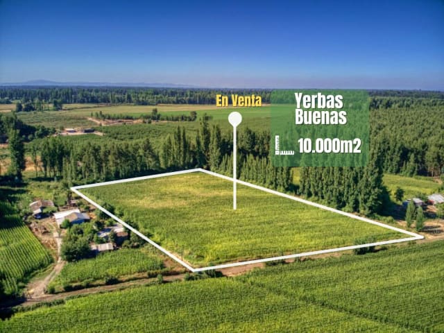 Terreno 10000 m2 en Yerbas Buenas, 10000 m² — vista principal