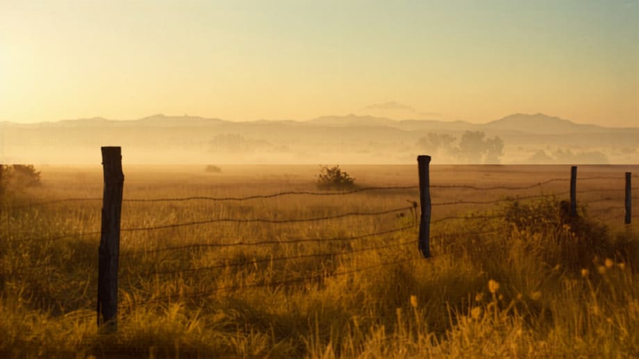 Cómo vender un terreno en Chile: parcela cercada al amanecer con cordillera al fondo