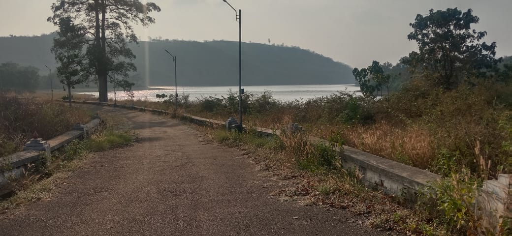 Rubber estate for sale