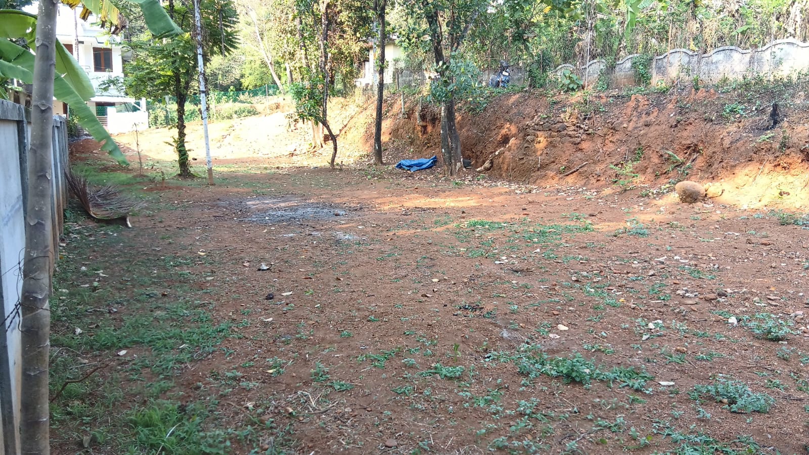 More Images
