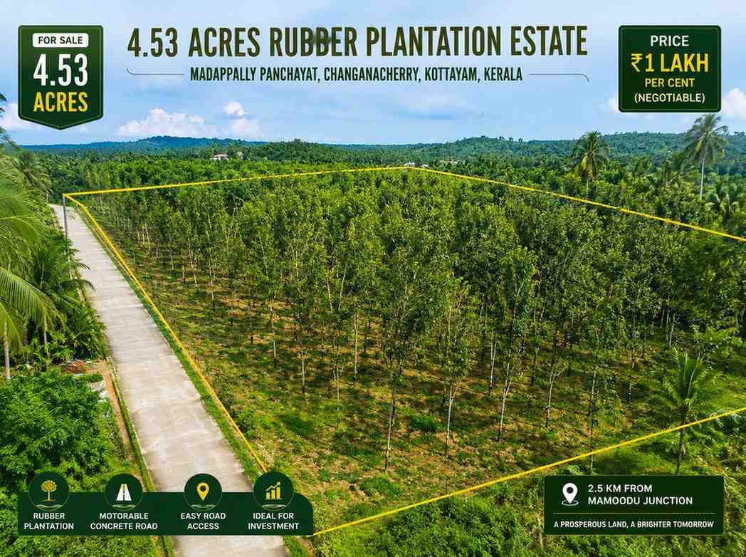 Estate Land for Sale