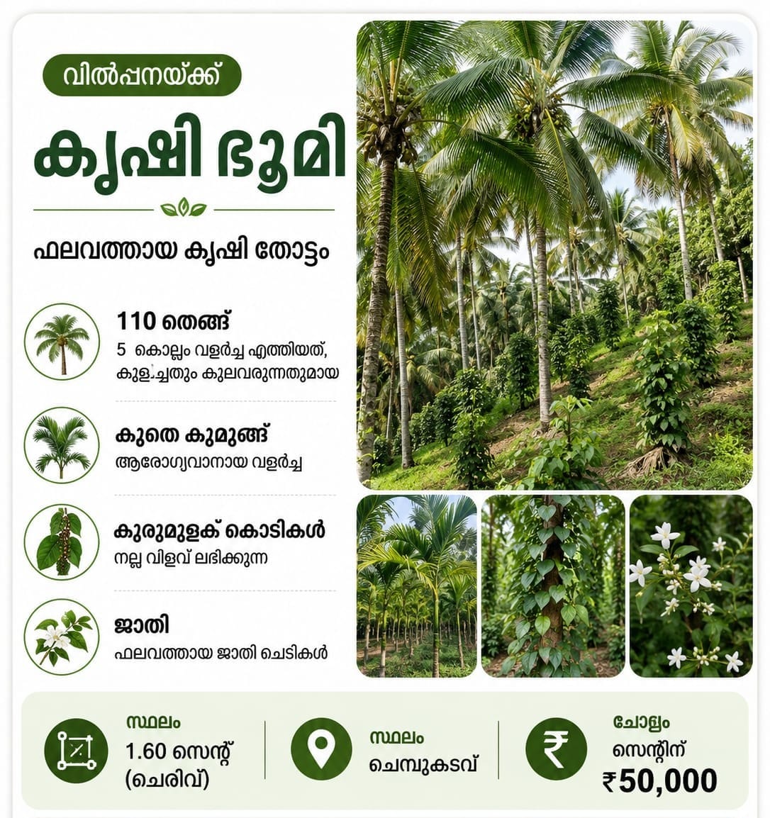  Agricultural farm for sale