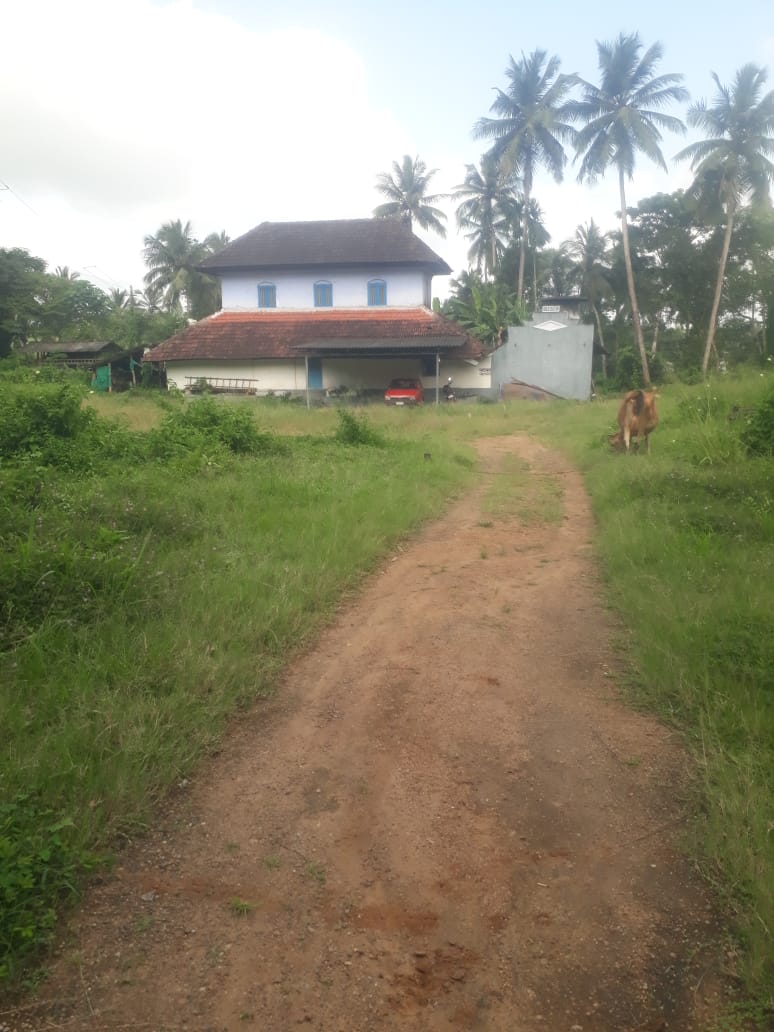 Rubber Field For Sale