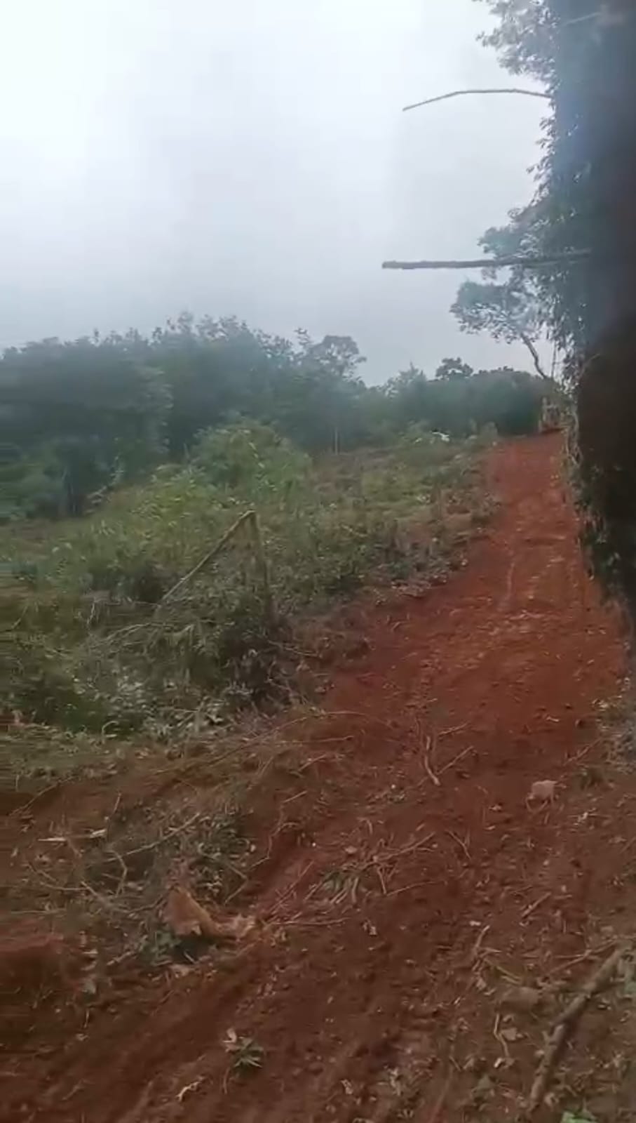 Housing plot for sale