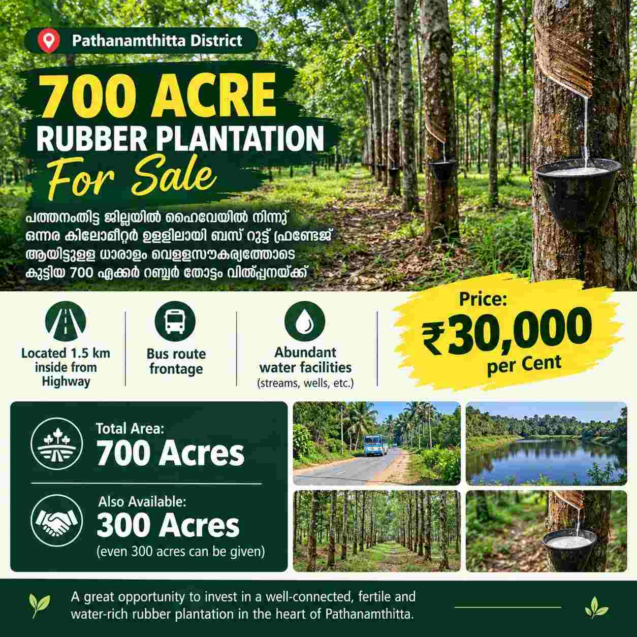 Rubber Plantation for Sale