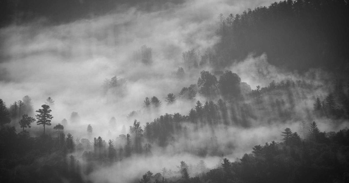 OpenAI's Daybreak: AI Takes on Cybersecurity