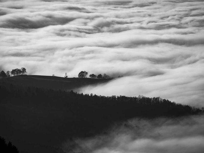 Decentralized By Design: HardenedBSD Embraces Radicle for Ultimate Open Source Security (2026)