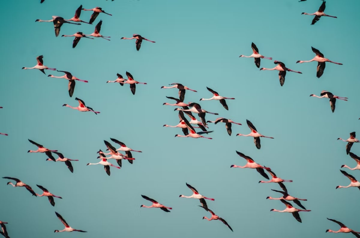 Is It Time to Migrate to Native Node.js Test Runner? The Complete 2025 Migration Guide