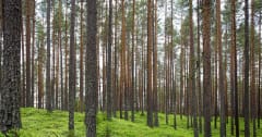 Natural Language Autoencoders: Unlocking Claude's Thoughts