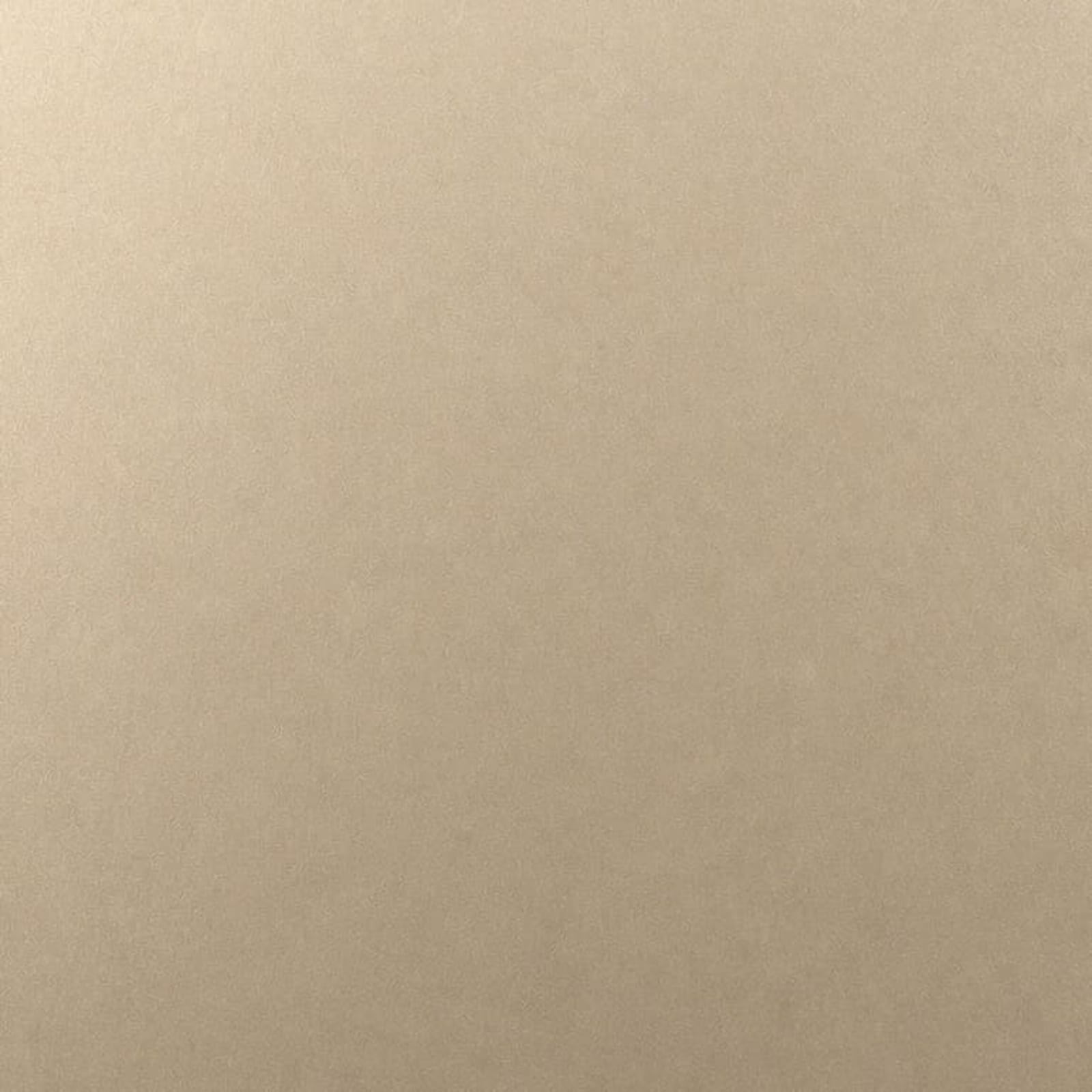 Matte Champagne finish