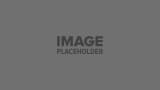 pojo-placeholder-2