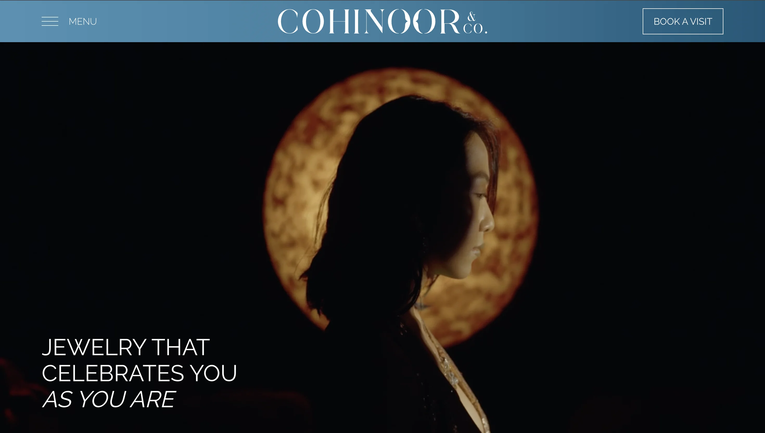 Cohinoor & Co website preview