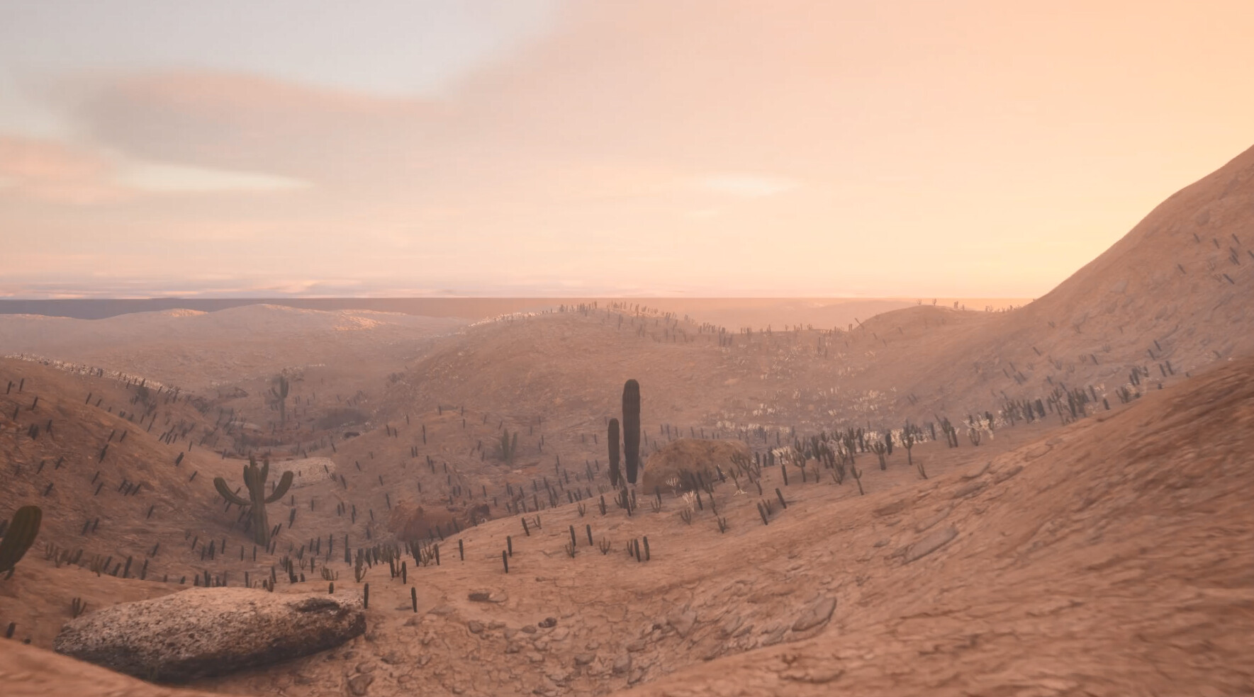 Semi Arid Landscape