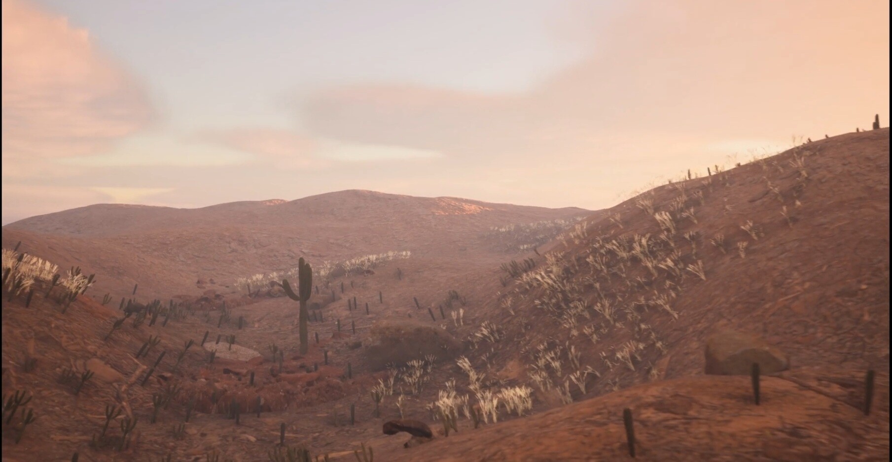 Semi Arid 2