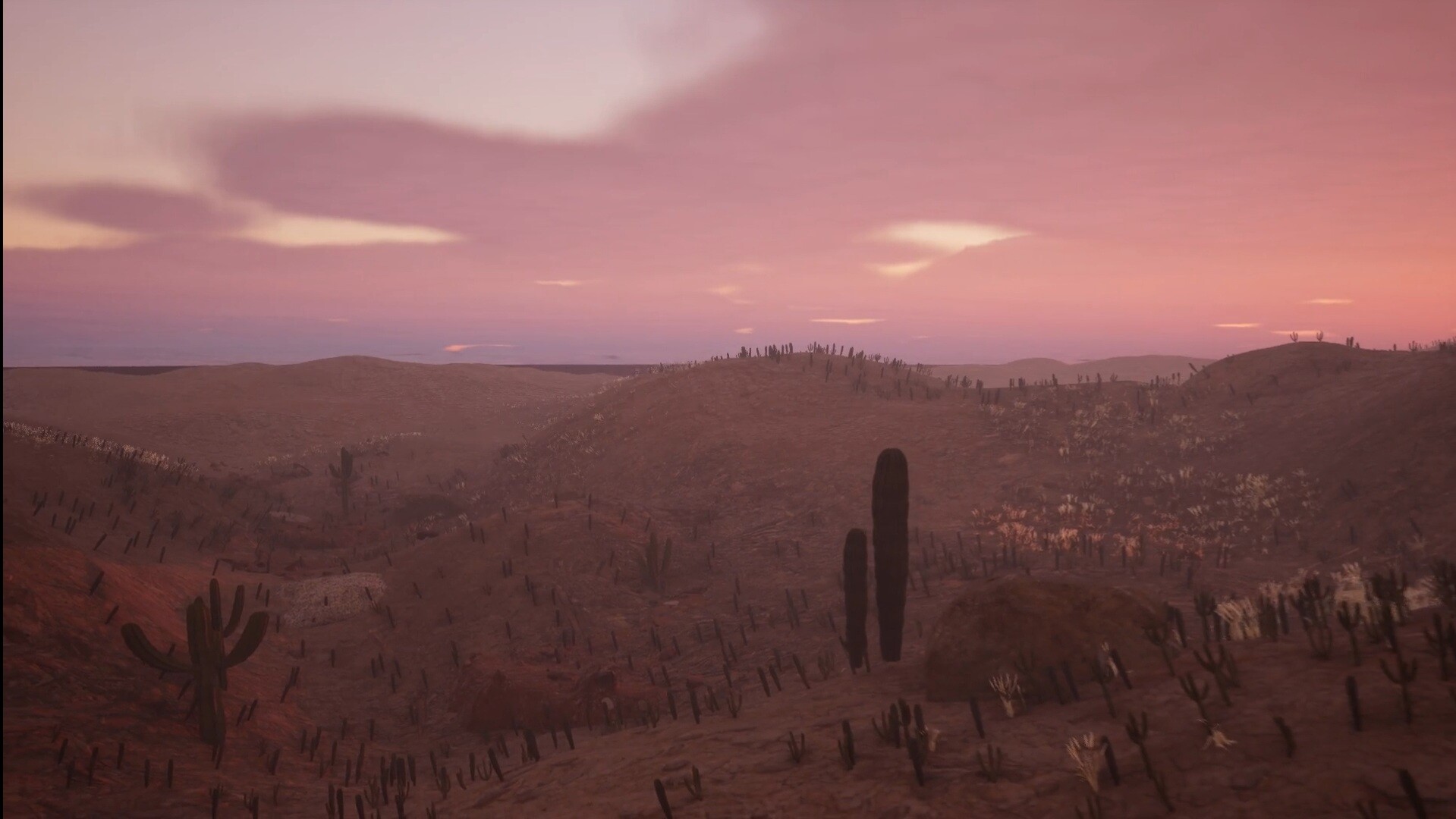 Semi Arid 4