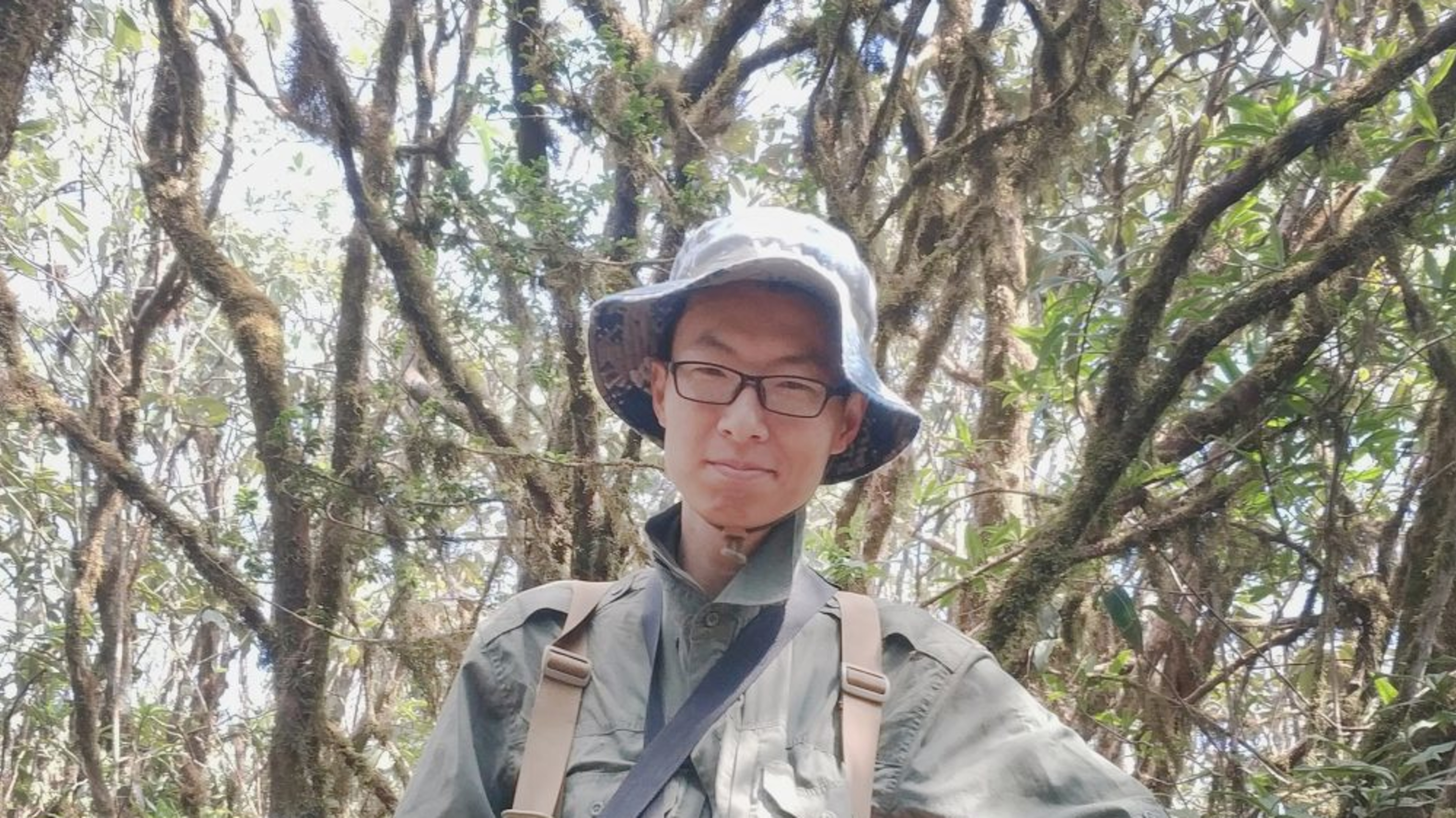 Cheng Xinhao 程新皓