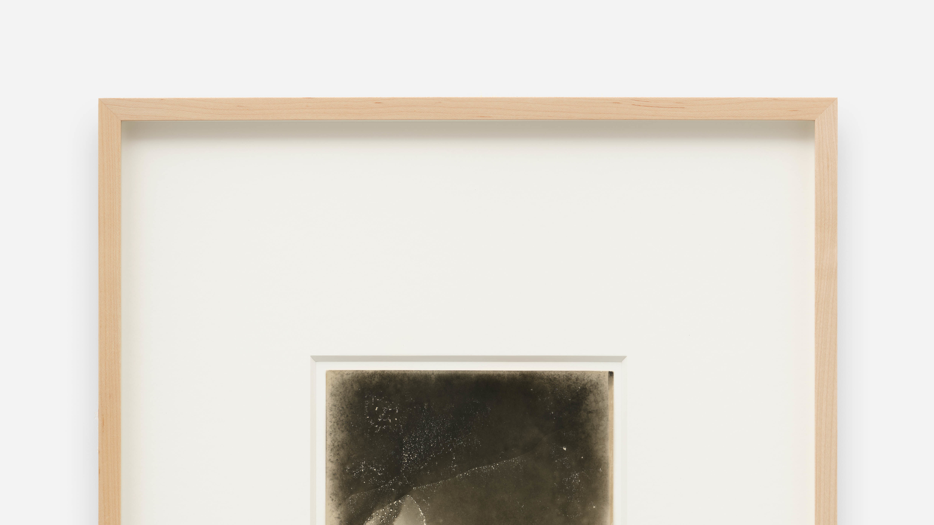 Untitled (Iris #3)