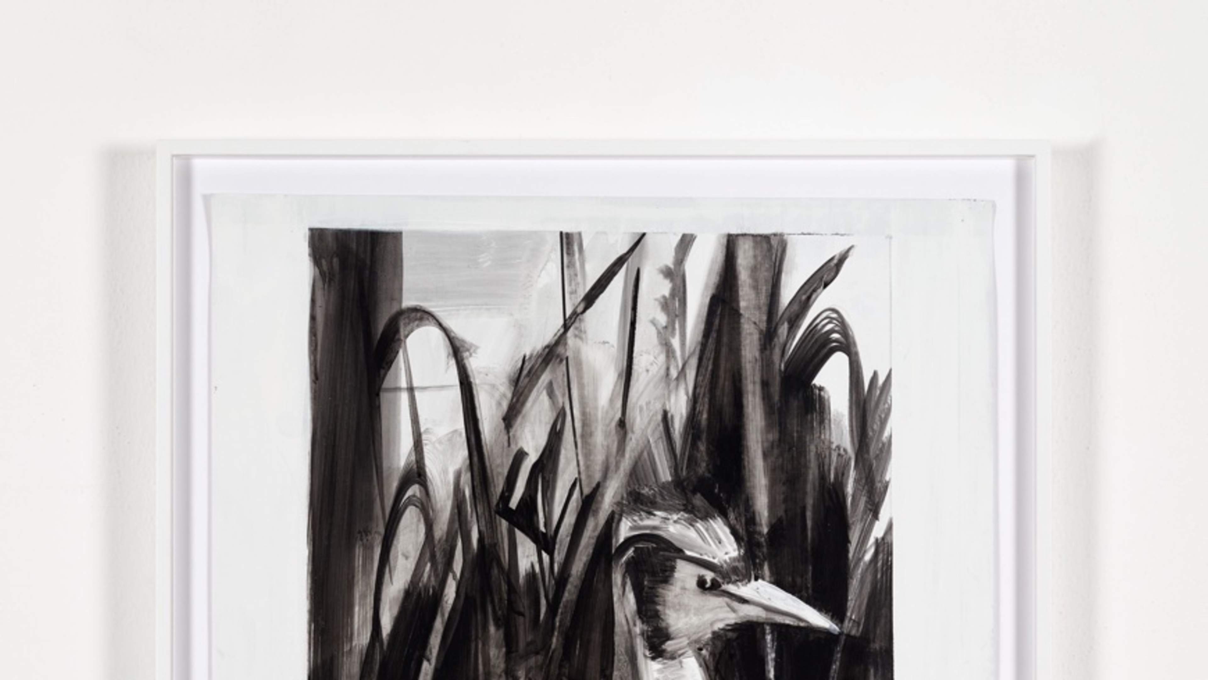 Duckling, Natural History Museum, Dublin