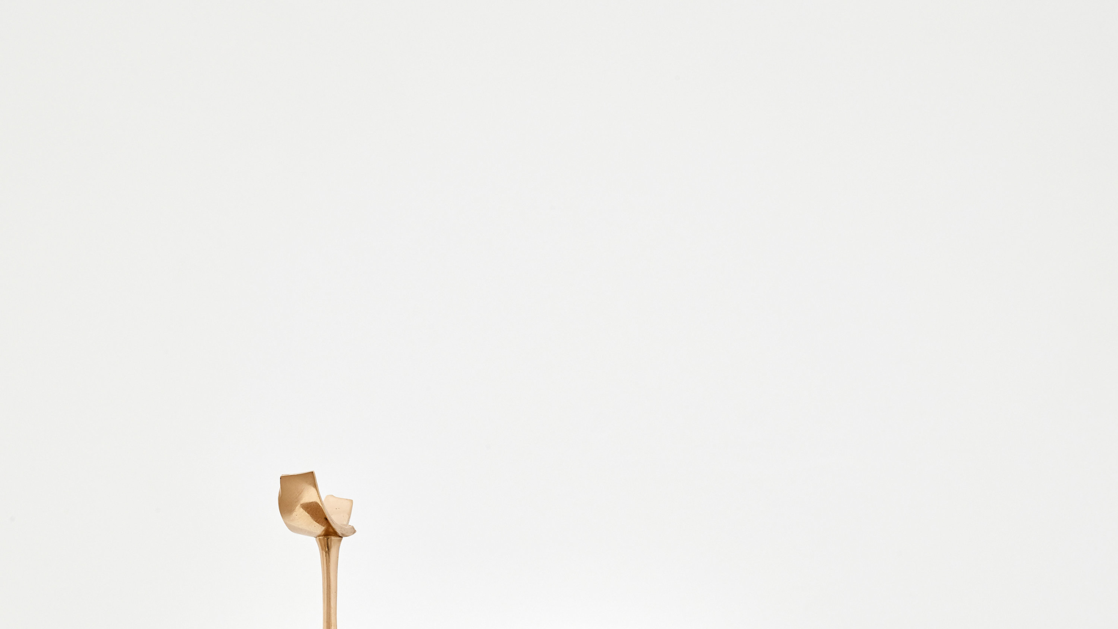 Structure more like breathing #4 (Puppy)