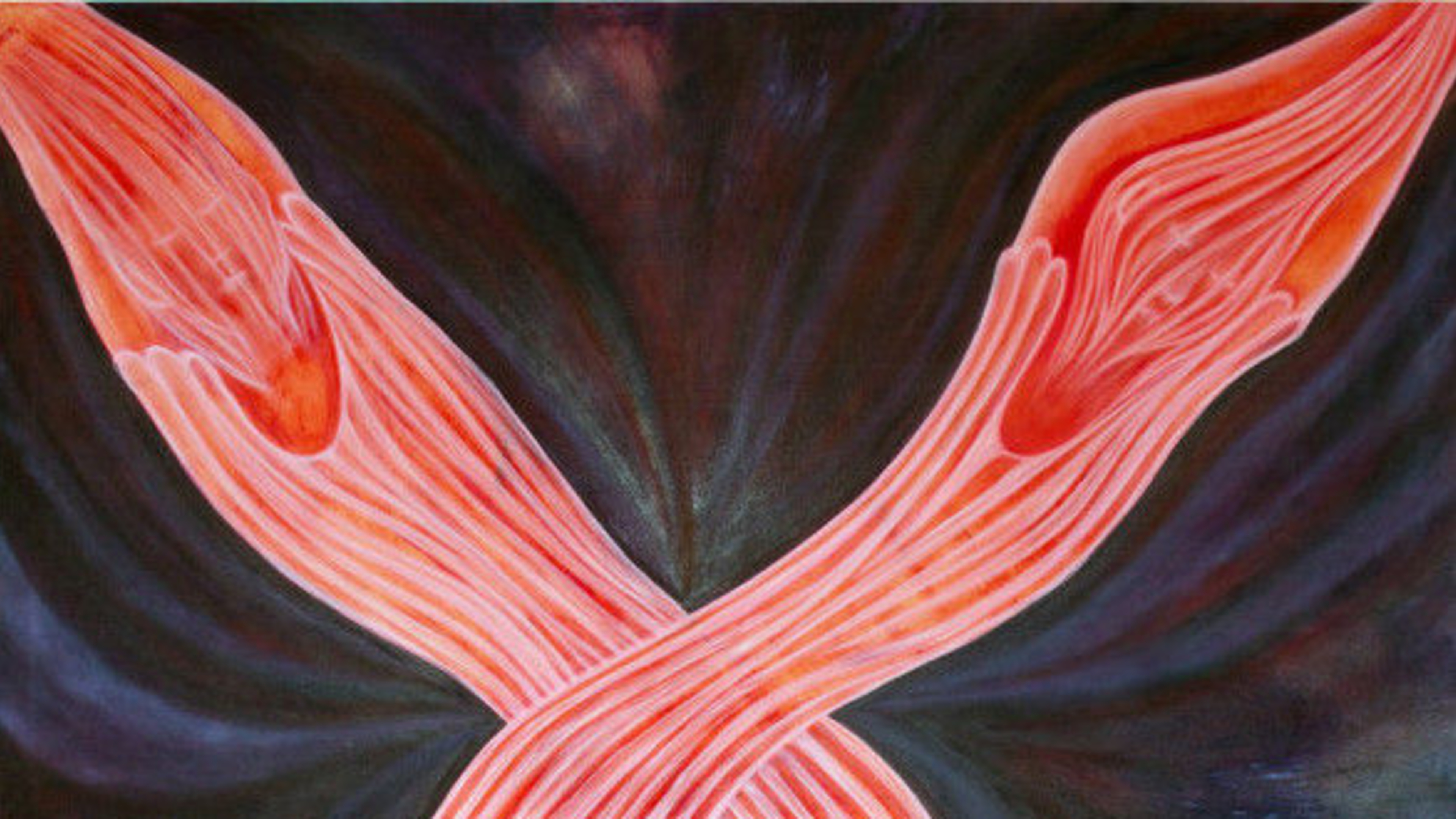 Untitled (somebody and somebody else)
