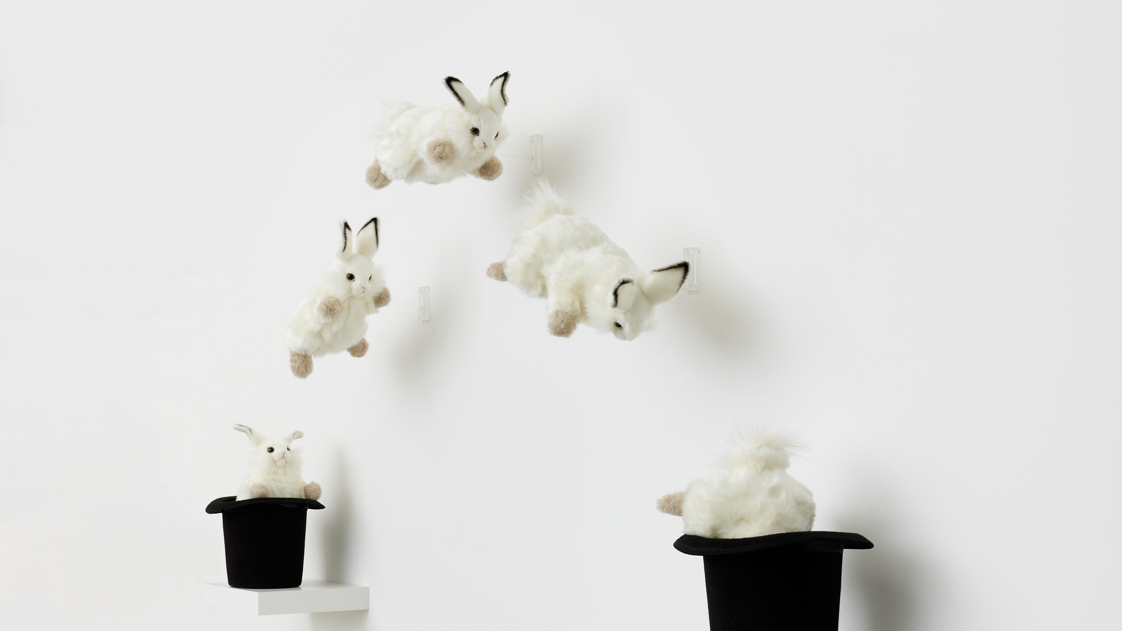 The Price of Freedom