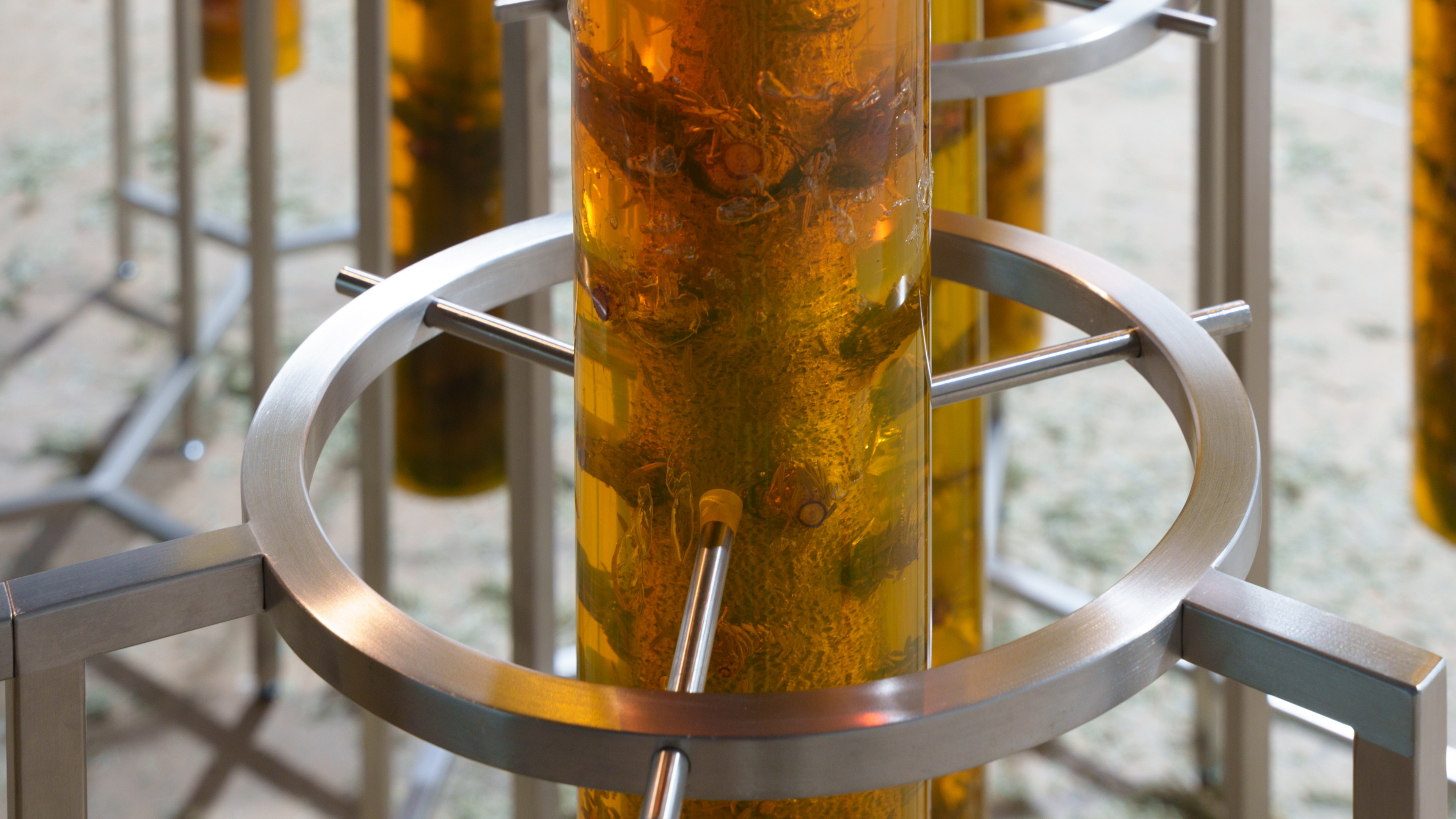 Leaving an Annual Growth at the Top: Succession