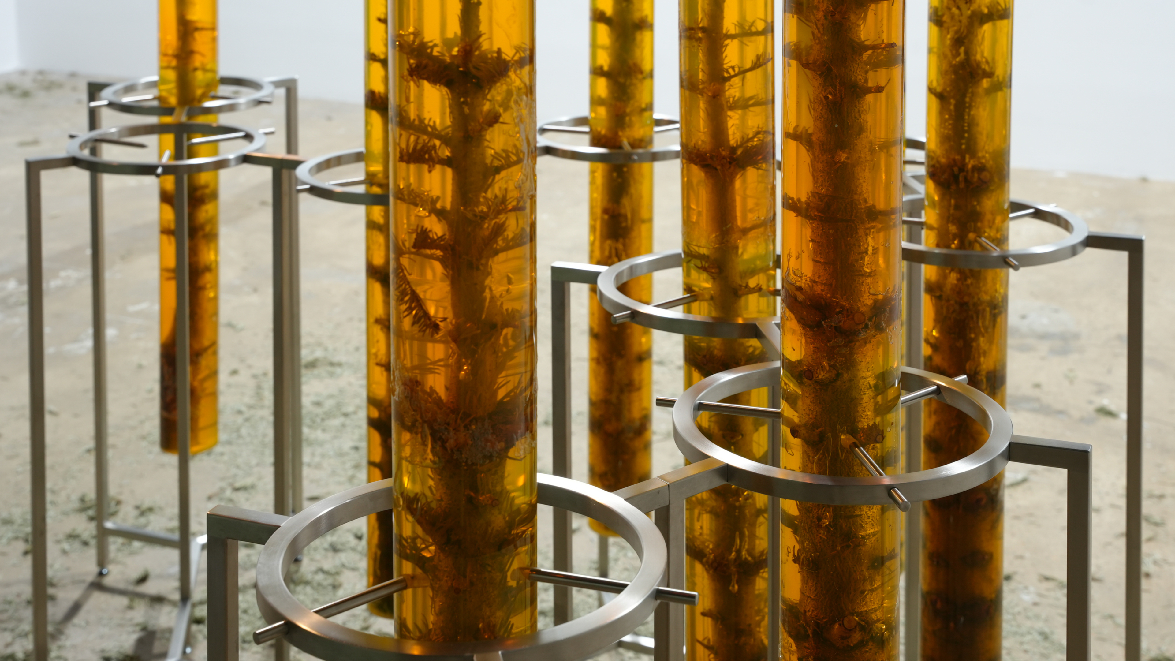 Leaving an Annual Growth at the Top: Succession