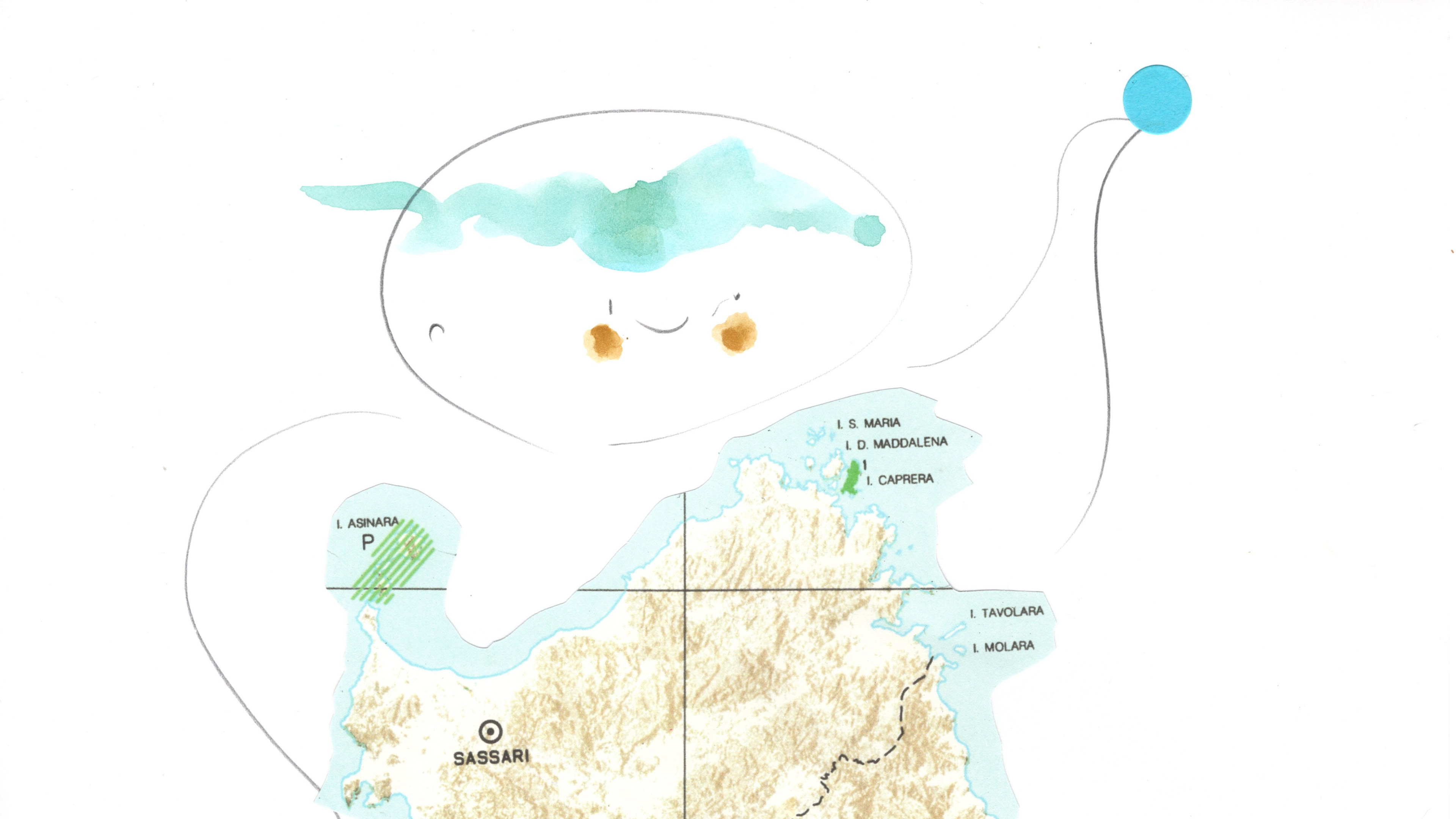 Untitled (Sardegna map)