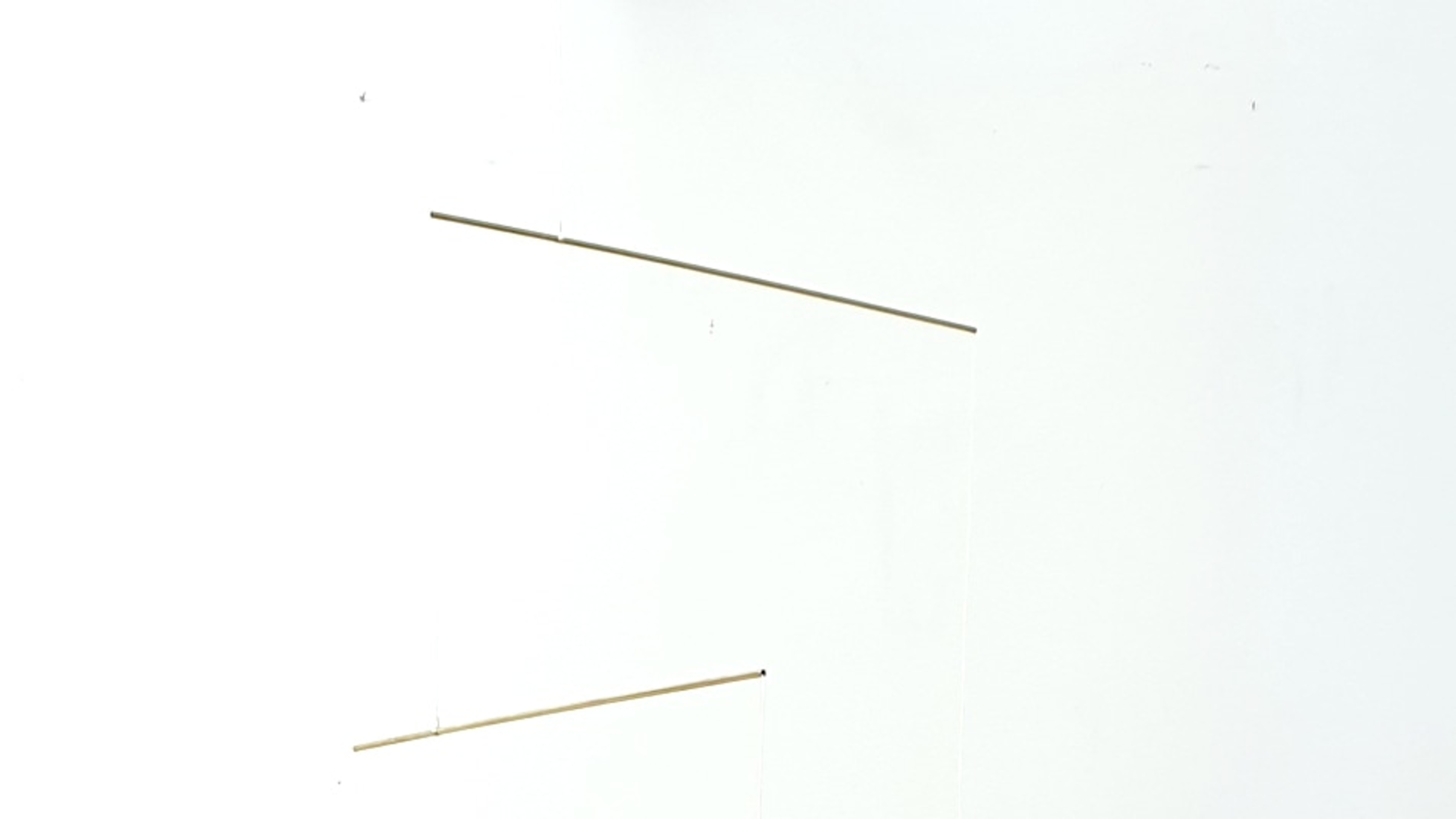 Chimérismes