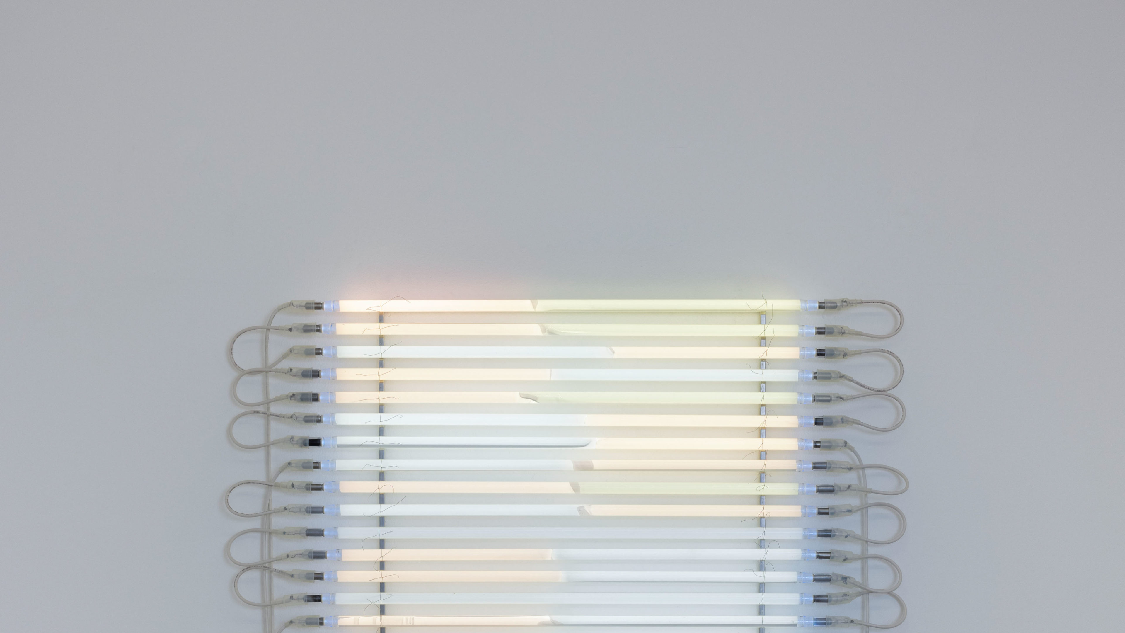 Tapetum Lucidum (15 000V)