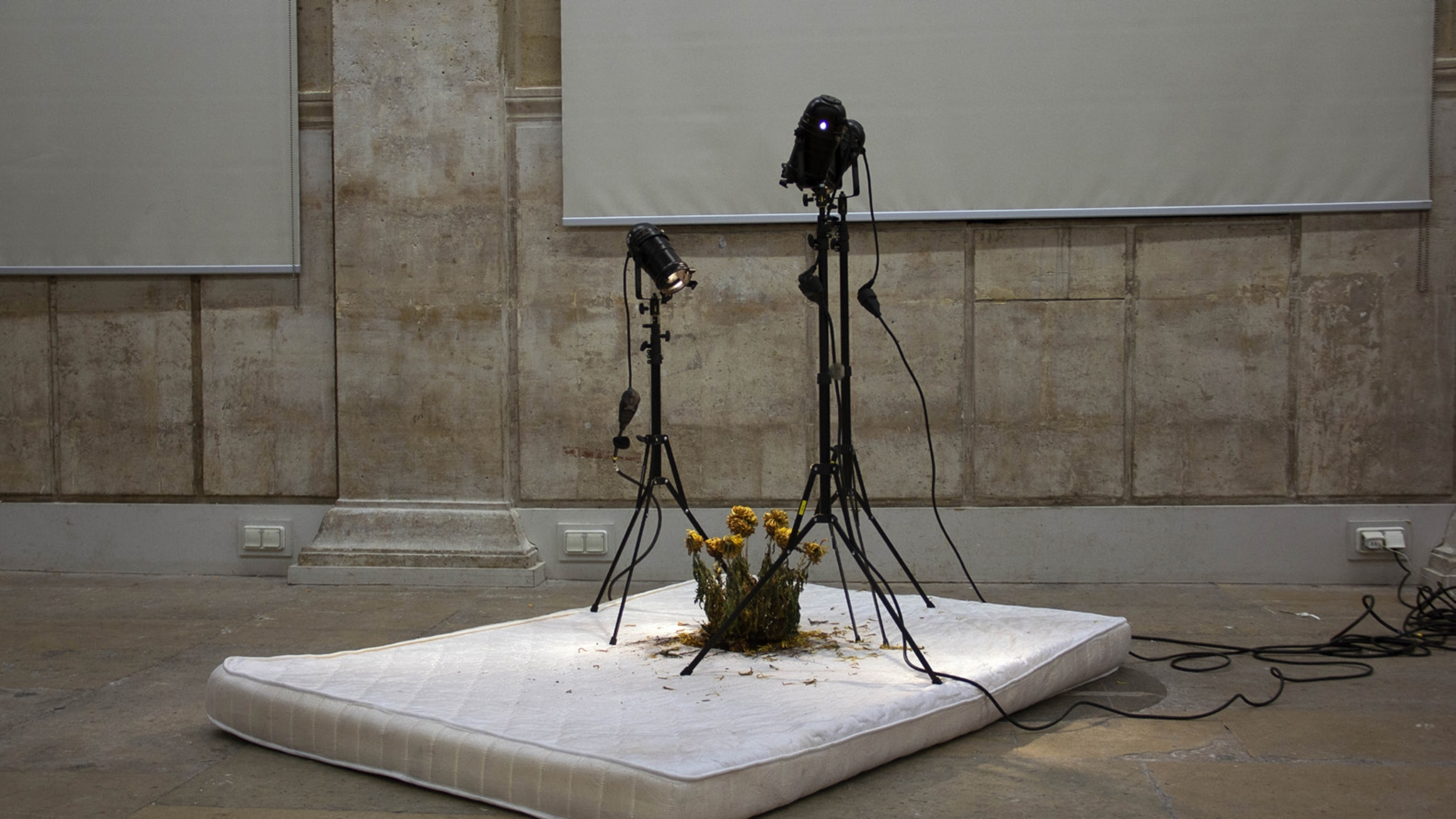 Isadora Soares Belletti