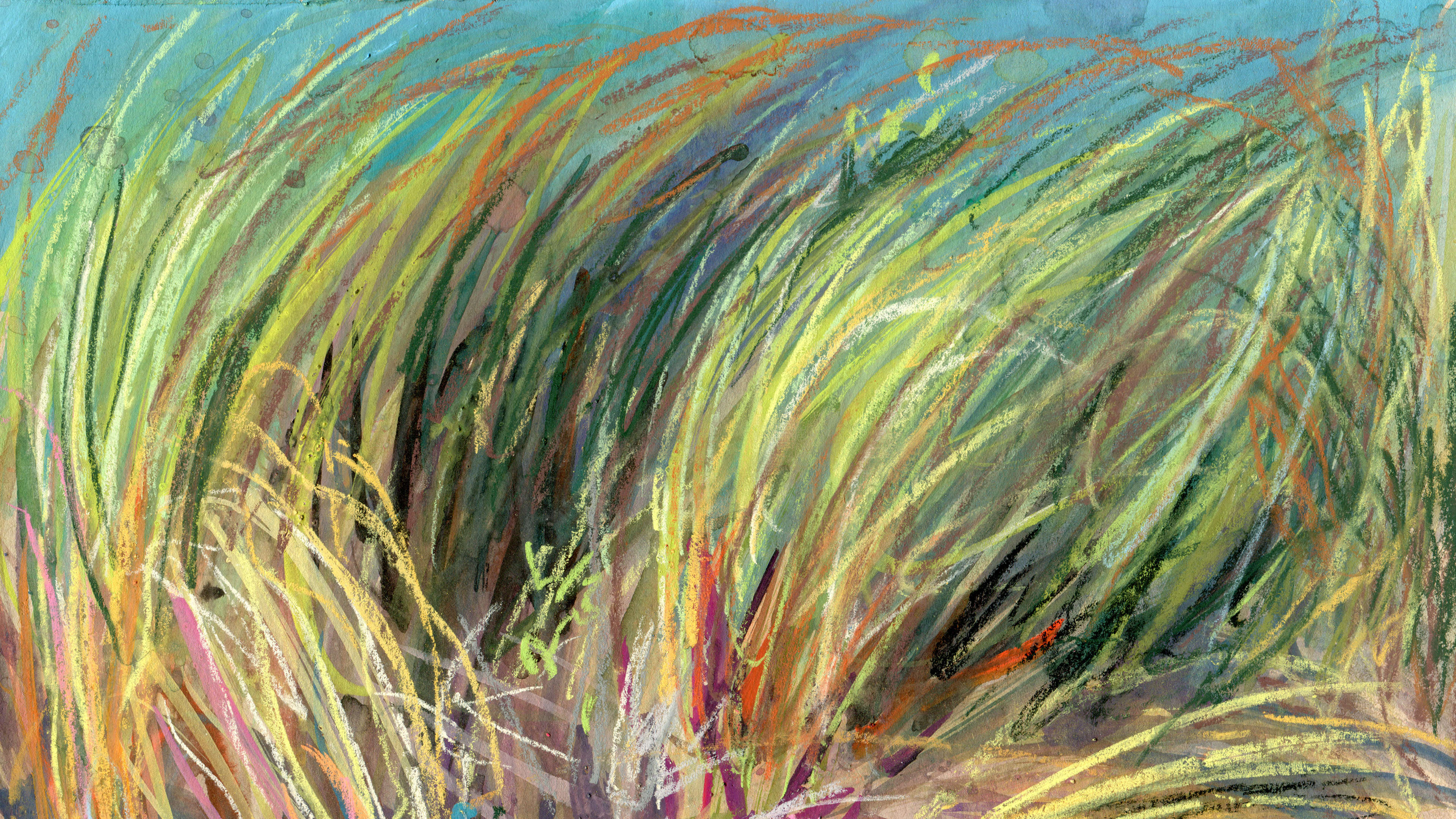 Marram