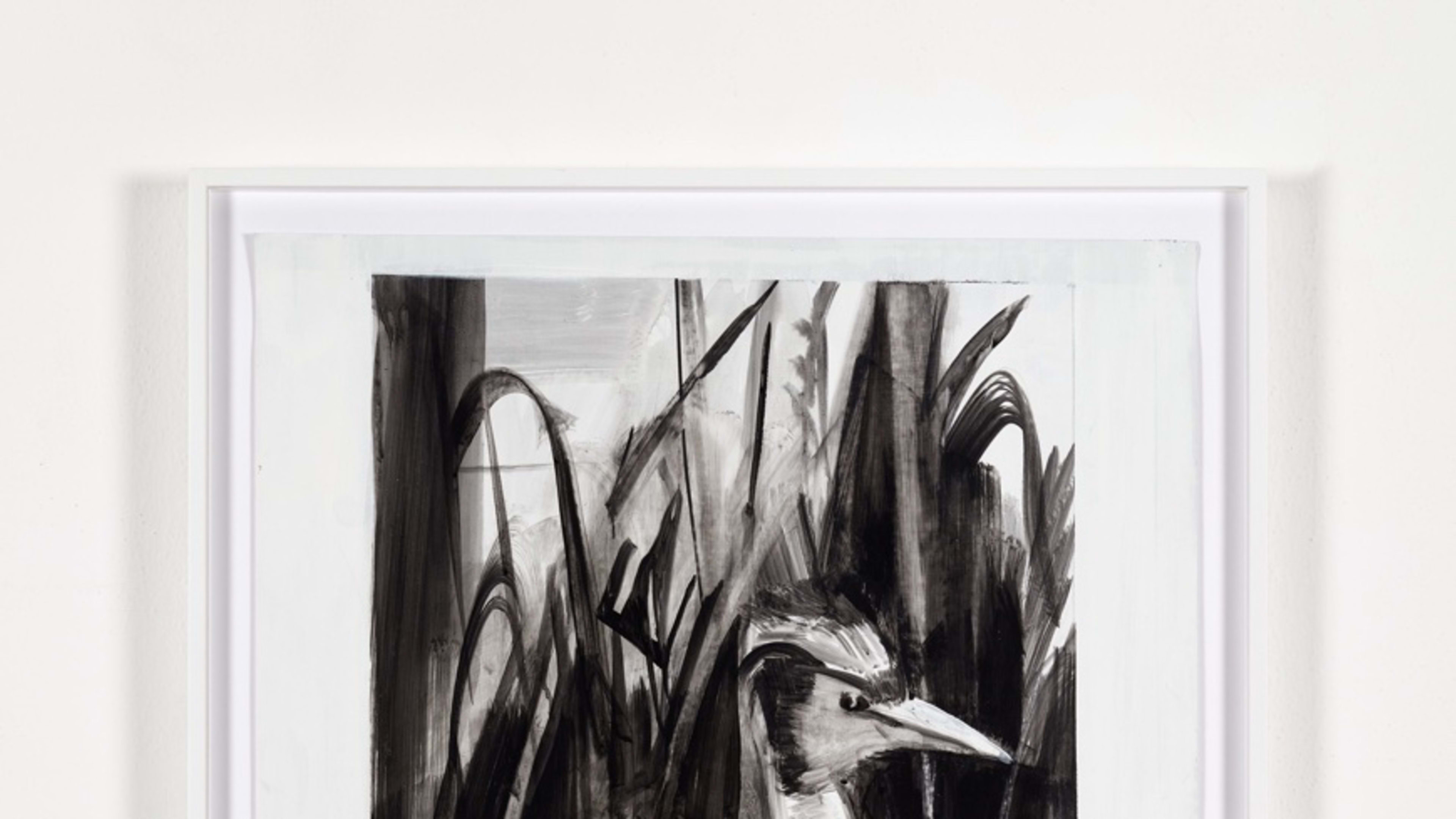 Duckling, Natural History Museum, Dublin
