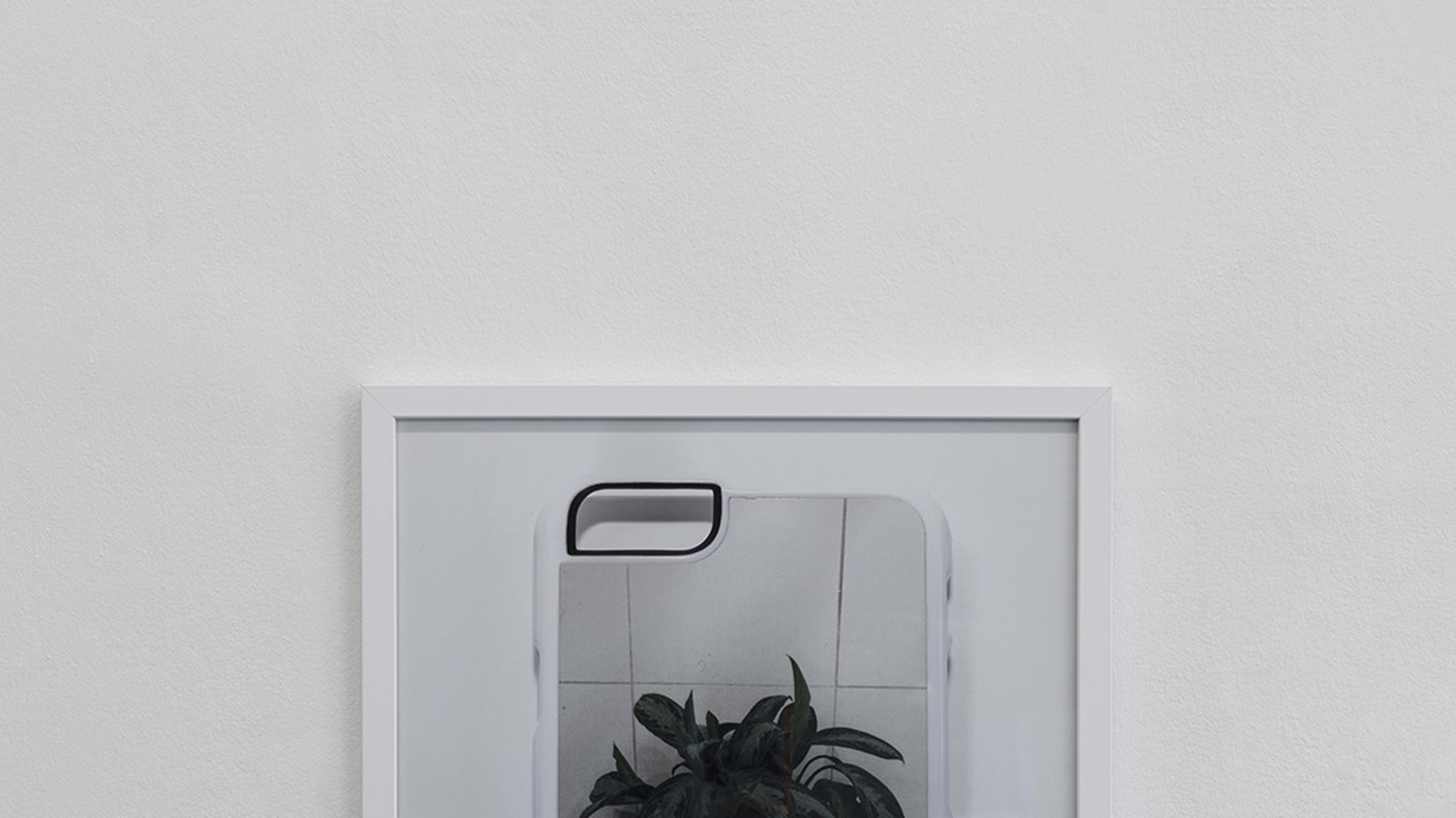 Plant, I Phone