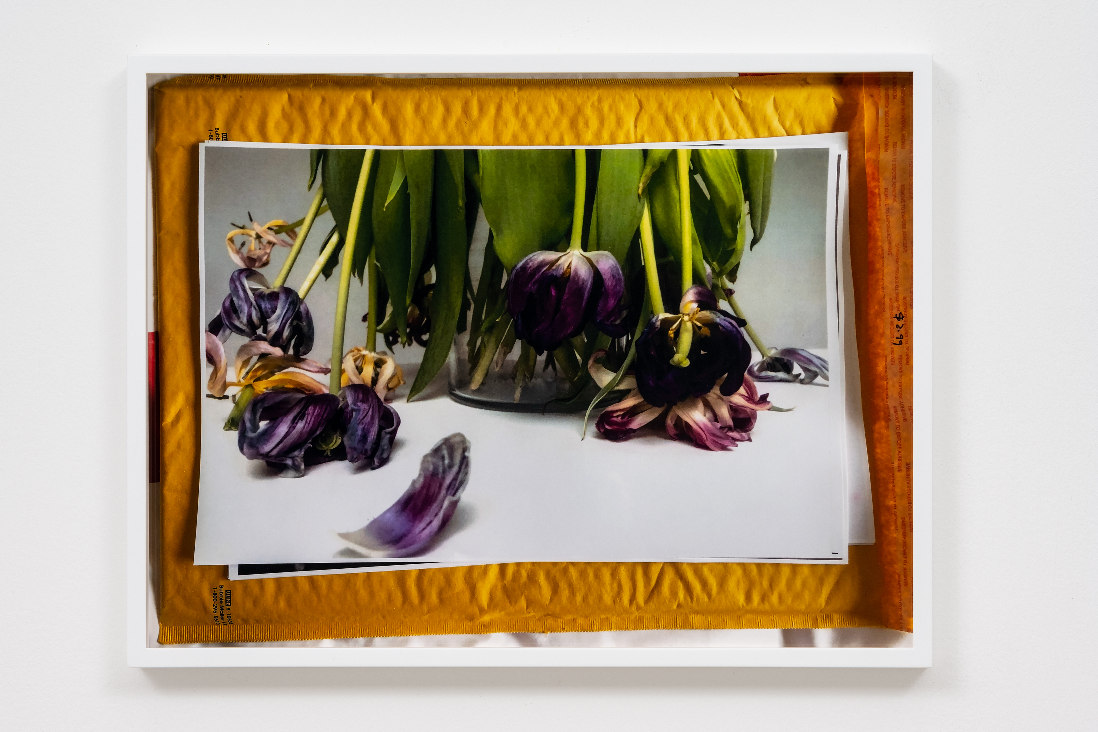 Still life ?