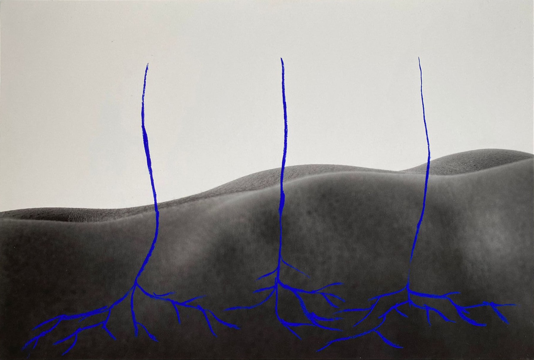 Paysage corporel I, série Dïàspora