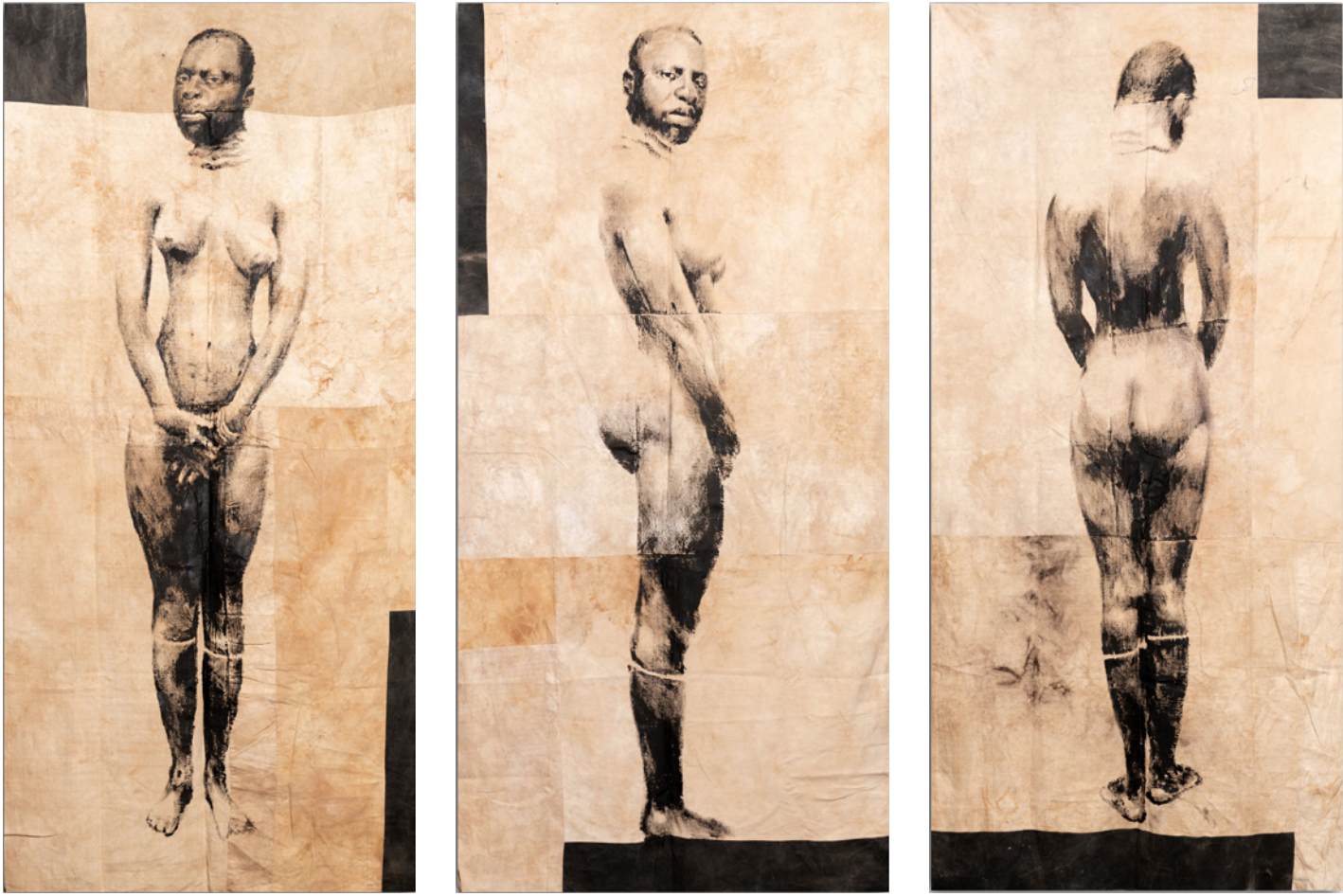 Collection anthropologique du Prince Bonaparte, Triptyque - Série Barnum