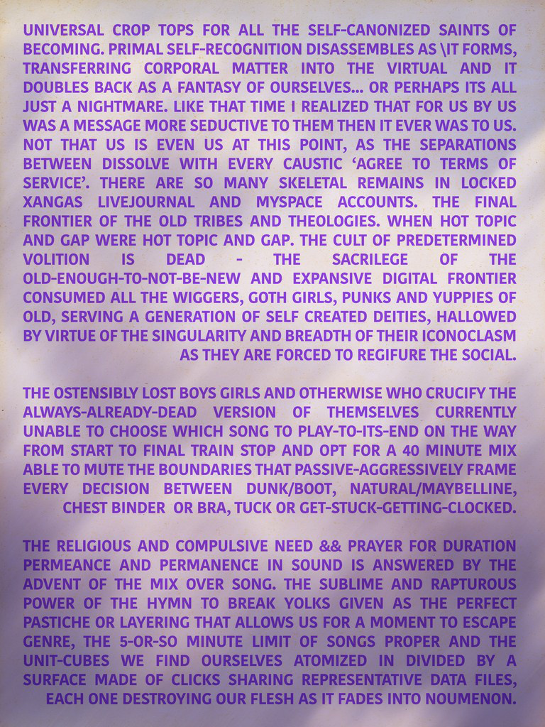 Untitled (Destroying Flesh)