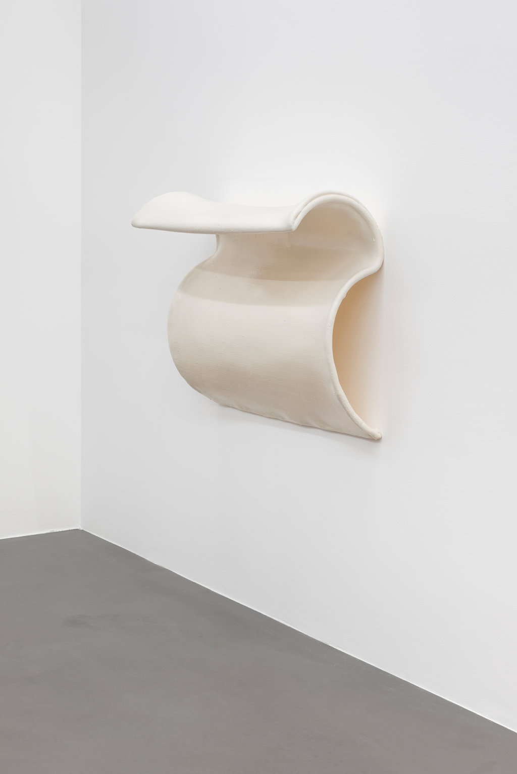 Interior Biomorphic Attachment
