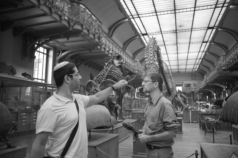 Antropometrías Aproximadas Edición Paris