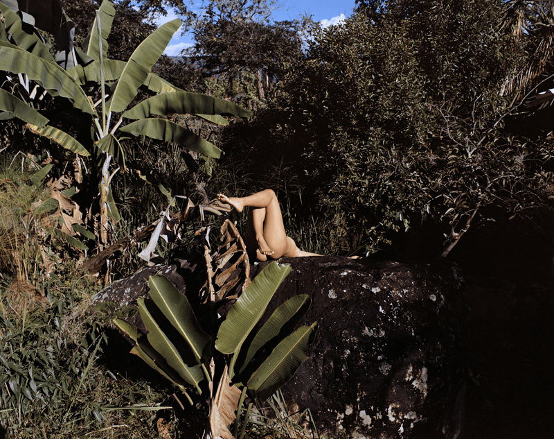 Álbum erótico I: Bananeras 1